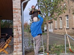 Herbstputz
